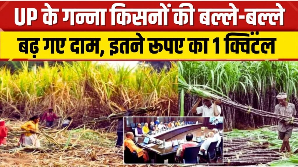 Sugarcane Price