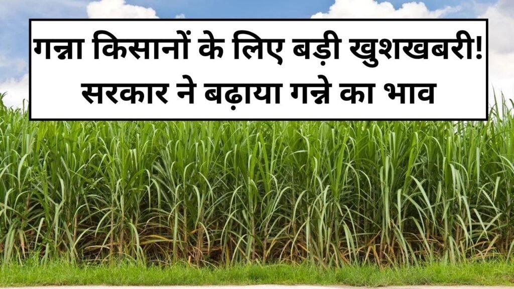 Sugarcane Price Hike